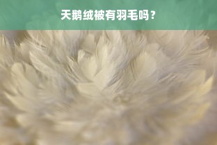 天鹅绒被有羽毛吗？