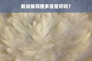 鹅绒被羽梗多质量好吗？