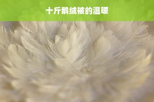 十斤鹅绒被的温暖