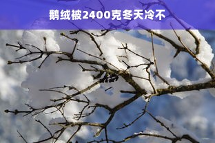 鹅绒被2400克冬天冷不