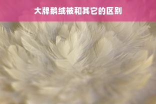 大牌鹅绒被和其它的区别