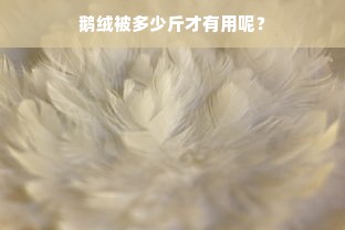 鹅绒被多少斤才有用呢？