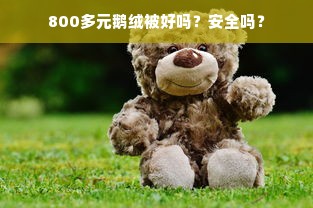 800多元鹅绒被好吗？安全吗？