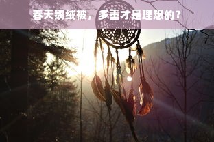 春天鹅绒被，多重才是理想的？