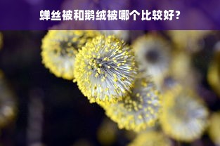 蝉丝被和鹅绒被哪个比较好？