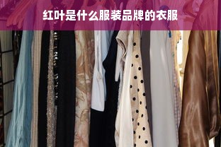 红叶是什么服装品牌的衣服