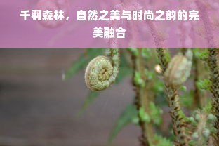 千羽森林，自然之美与时尚之韵的完美融合