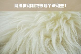 鹅绒被和羽绒被哪个暖和些？