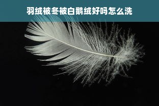 羽绒被冬被白鹅绒好吗怎么洗