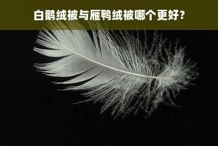 白鹅绒被与雁鸭绒被哪个更好？