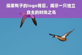 探索鸭子的logo背后，揭示一只独立自主的时尚之鸟