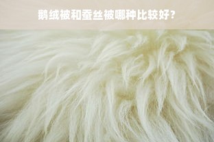 鹅绒被和蚕丝被哪种比较好？