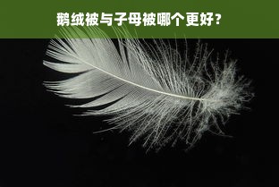 鹅绒被与子母被哪个更好？