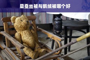 桑蚕丝被与鹅绒被哪个好