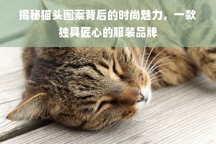 揭秘猫头图案背后的时尚魅力，一款独具匠心的服装品牌