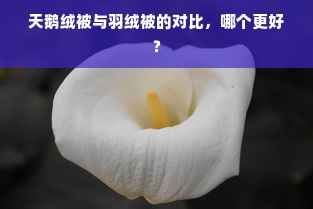 天鹅绒被与羽绒被的对比，哪个更好？