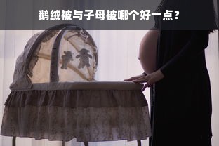 鹅绒被与子母被哪个好一点？