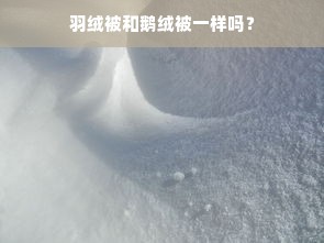 羽绒被和鹅绒被一样吗？