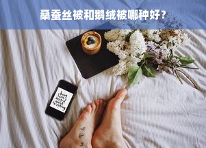 桑蚕丝被和鹅绒被哪种好？