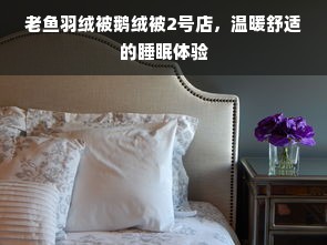 老鱼羽绒被鹅绒被2号店，温暖舒适的睡眠体验