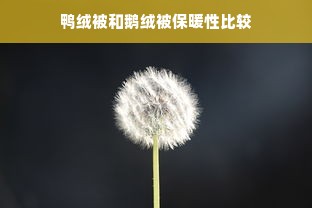 鸭绒被和鹅绒被保暖性比较