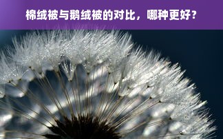 棉绒被与鹅绒被的对比，哪种更好？