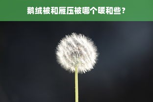 鹅绒被和雁压被哪个暖和些？