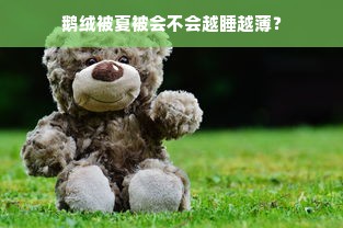 鹅绒被夏被会不会越睡越薄？