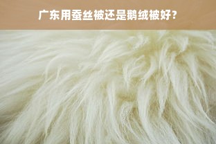 广东用蚕丝被还是鹅绒被好？