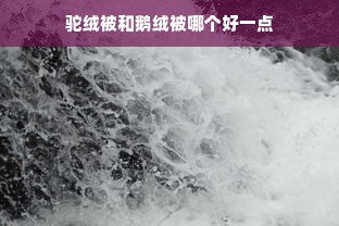 驼绒被和鹅绒被哪个好一点