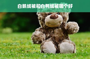 白鹅绒被和白鸭绒被哪个好