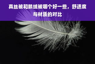 真丝被和鹅绒被哪个好一些，舒适度与材质的对比