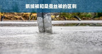 鹅绒被和桑蚕丝被的区别