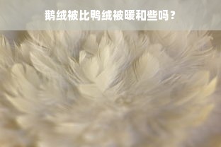 鹅绒被比鸭绒被暖和些吗？