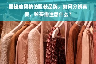 揭秘迪奥精仿服装品牌，如何分辨真假，购买需注意什么？