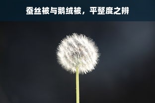 蚕丝被与鹅绒被，平整度之辨