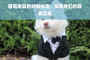 猫和老鼠的时尚传奇，探索他们的服装品牌