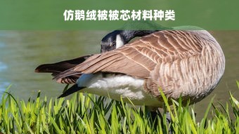 仿鹅绒被被芯材料种类