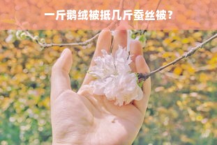 一斤鹅绒被抵几斤蚕丝被？