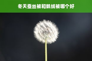 冬天蚕丝被和鹅绒被哪个好