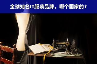 全球知名IT服装品牌，哪个国家的？