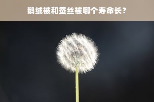 鹅绒被和蚕丝被哪个寿命长？