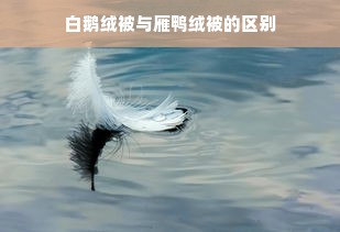 白鹅绒被与雁鸭绒被的区别