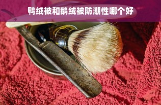 鸭绒被和鹅绒被防潮性哪个好