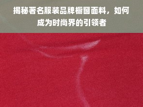 揭秘著名服装品牌橱窗面料，如何成为时尚界的引领者