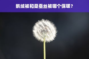 鹅绒被和桑蚕丝被哪个保暖？