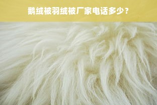 鹅绒被羽绒被厂家电话多少？