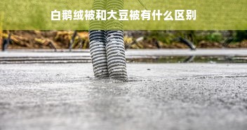 白鹅绒被和大豆被有什么区别