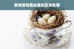 鹅绒被和蚕丝被的区别在哪