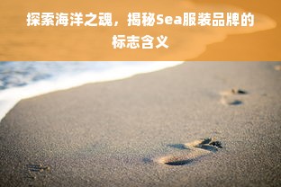 探索海洋之魂，揭秘Sea服装品牌的标志含义